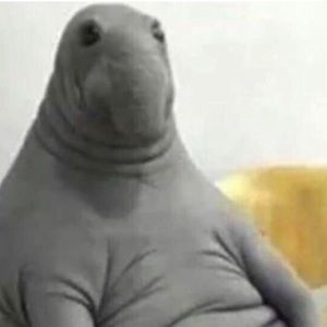 Meet your Posher, Hunter